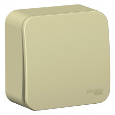 Переключатель одноклавишный Systeme Electric Blanca бежевый 10А &mdash; Multielectrika