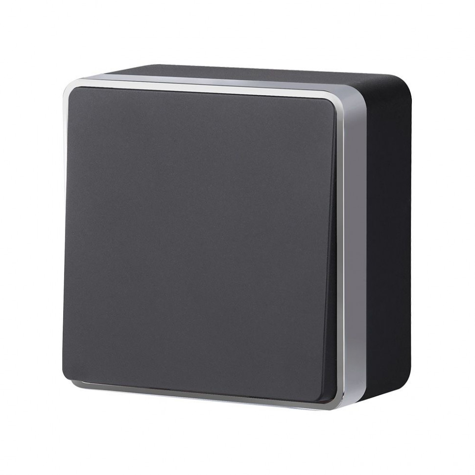 Выключатель одноклавишный Gallant черный с серебром W5010034 W5010034 фото 1 &mdash; Multielectrika