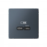 Розетка USB C Systeme Electric ArtGallery 65W, Fast Charge (QC.PD), грифель