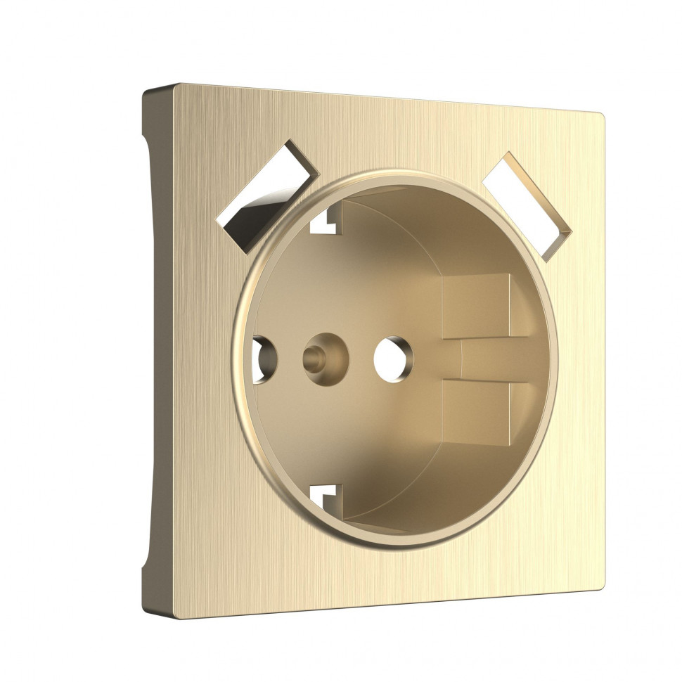 Накладка  для розетки USB (шампань рифленый) W1179510 фото 1 &mdash; Multielectrika