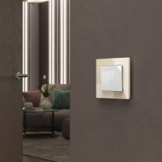 Перекрестный переключатель двухклавишный (белый) W1123001 &mdash; Multielectrika