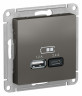 Зарядное устройство USB+Type C Schneider Electric Atlas Design сталь