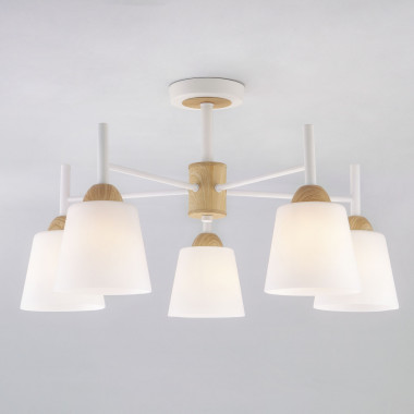 Потолочная люстра со стеклянными плафонами 70085/5 белый — Multielectrika