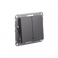 Выключатель двухклавишный Systeme Electric AtlasDesign с подсветкой, 10А, базальт &mdash; Multielectrika