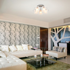 Потолочная люстра со стеклянными плафонами 30160/5 хром &mdash; Multielectrika