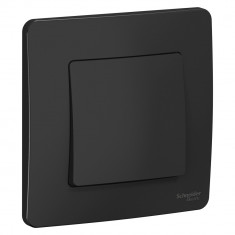 Выключатель одноклавишный Systeme Electric Blanca антрацит 10А &mdash; Multielectrika