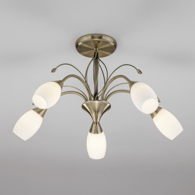 Потолочная люстра со стеклянными плафонами 30280/5 — Multielectrika