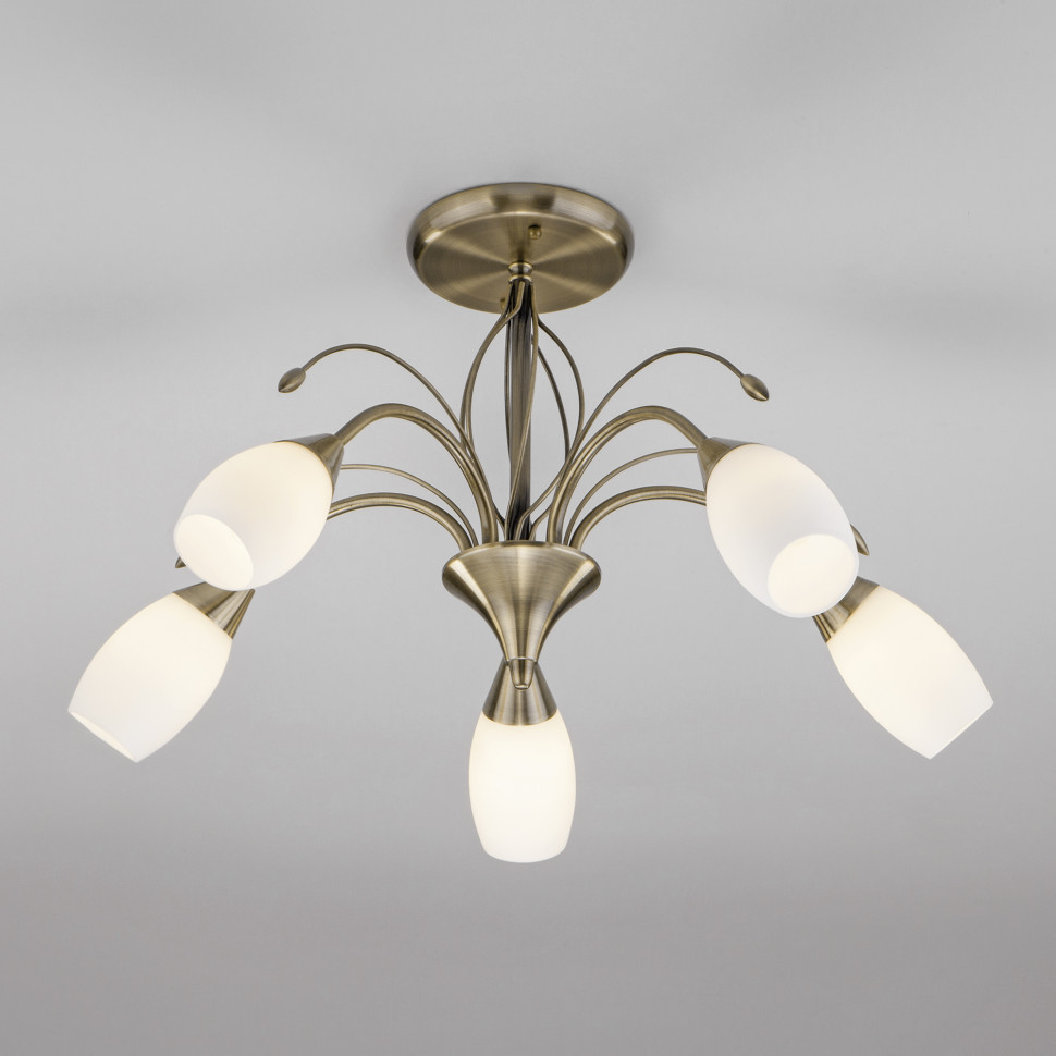 Потолочная люстра со стеклянными плафонами 30280/5 фото 1 — Multielectrika