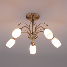 Потолочная люстра со стеклянными плафонами 30280/5 &mdash; Multielectrika