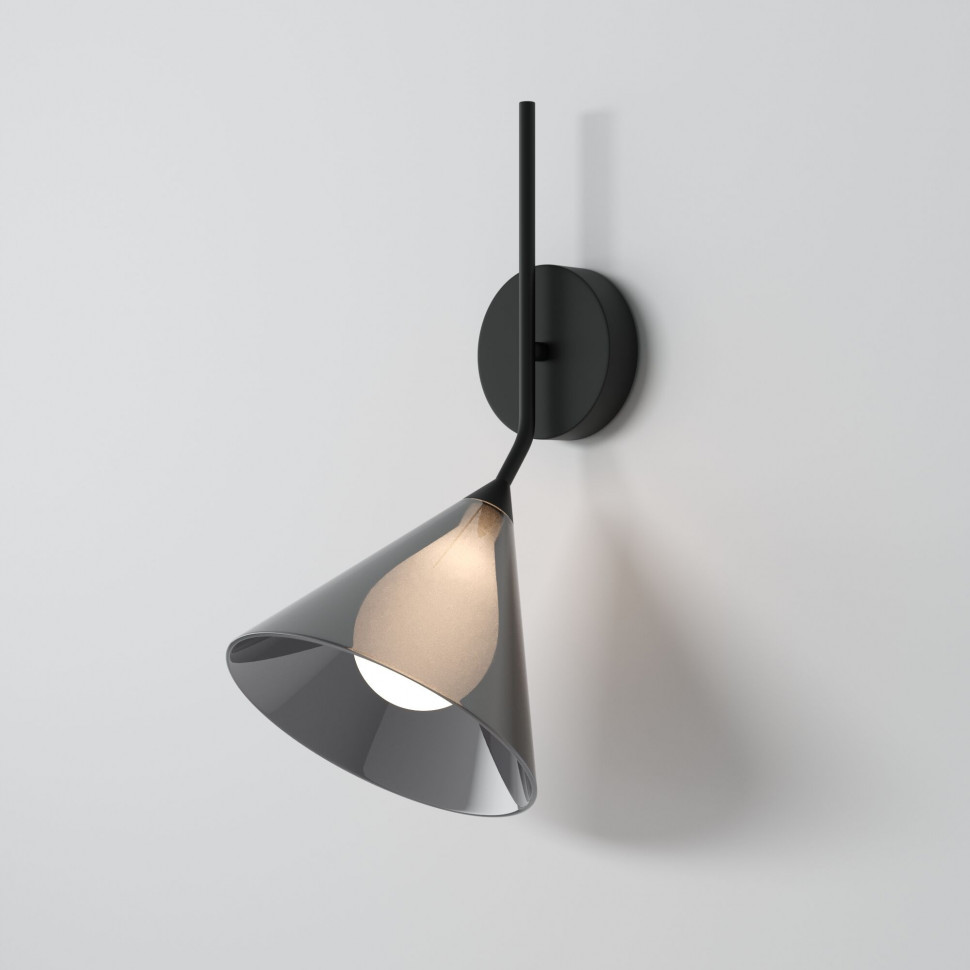 Настенный светильник со стеклянным плафоном 70161/1 черный фото 1 — Multielectrika