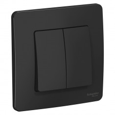 Выключатель двухклавишный Systeme Electric Blanca антрацит 10А &mdash; Multielectrika