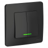 Выключатель двухклавишный Systeme Electric Blanca с подсветкой, антрацит 10А