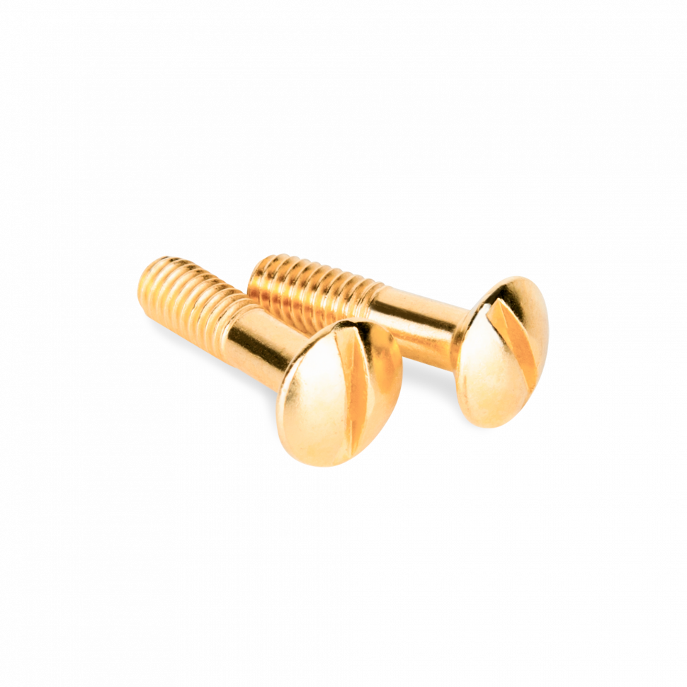 Винты для распределительной коробки/TV  розетки 2 шт. золото ретро WL18-22-01 фото 1 — Multielectrika