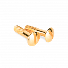 Винты для распределительной коробки/TV  розетки 2 шт. золото ретро WL18-22-01 &mdash; Multielectrika