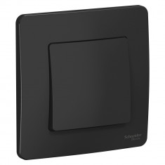 Переключатель одноклавишный Systeme Electric Blanca антрацит 10А &mdash; Multielectrika