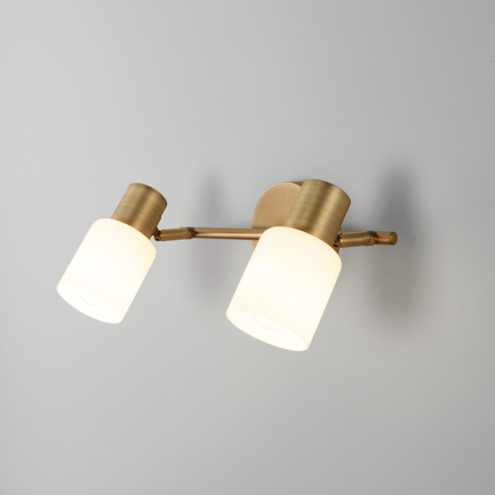 Настенный светильник с поворотными плафонами 20089/2 бронза фото 1 — Multielectrika