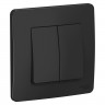Переключатель двухклавишный Systeme Electric Blanca антрацит 10А