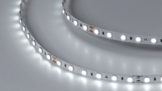 Лента светодиодная DSG 5050 W 60L-V24-IP33, 6000 K, 300 LED, 14.4W/m, LUX &mdash; Multielectrika