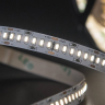 Лента светодиодная 24 Вт/м SMD3014, 12В, IP20, Нейтральный белый, 3М