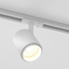 Трековый светодиодный светильник для однофазного шинопровода Cors белый/серебро 10 Вт 4200K 85513/01 фото 36 — Multielectrika