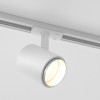 Трековый светодиодный светильник для однофазного шинопровода Cors белый/серебро 10 Вт 4200K 85513/01 фото 42 — Multielectrika