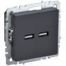 Розетка USB A+A 5В 3,1А IEK Brite РЮ10-1-БрГ графит