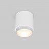 Потолочный светодиодный светильник Cors 25032/LED 10W 4200K белый/серебро