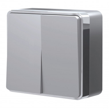 Выключатель двухклавишный Gallant серебряный W5020006 &mdash; Multielectrika