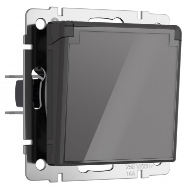 Розетка влагозащ. с зазем. с защит. крышкой и шторками (графит акрил) W1171244 &mdash; Multielectrika