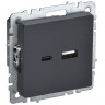 Розетка USB A+C 18Вт IEK Brite РЮ11-1-БрГ графит