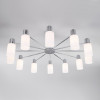 Потолочная люстра со стеклянными плафонами 70160/12 хром фото 3 — Multielectrika