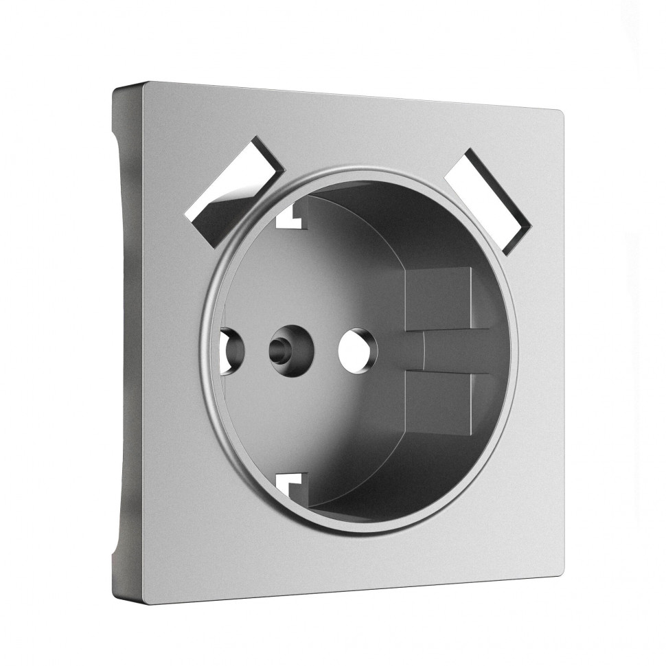 Накладка для розетки USB (серебряный матовый) W1179565 фото 1 &mdash; Multielectrika