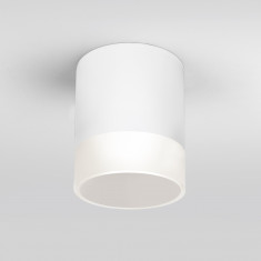 Уличный потолочный светильник Light LED 2107 IP54 35140/H белый &mdash; Multielectrika