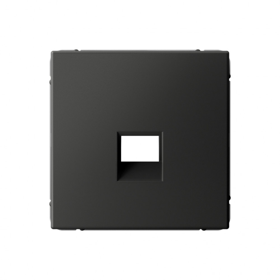 Накладка информационная типа Keystone Systeme Electric ArtGallery, базальт фото 1 — Multielectrika