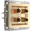 Акустическая розетка (шампань) W1185011 фото 1 &mdash; Multielectrika