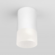 Уличный потолочный светильник Light LED 2106 IP54 35139/H белый &mdash; Multielectrika