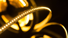 Лента светодиодная 24 Вт/м SMD3014, 12В, IP20, Теплый, 3М &mdash; Multielectrika