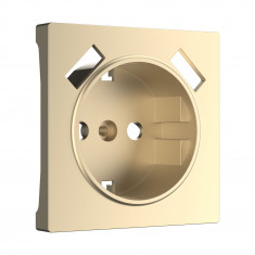 Накладка для USB розетки (шампань) W1179511 &mdash; Multielectrika