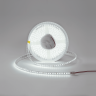 Лента светодиодная DSG 3528 120L-V24-IP65,6000K, 120 LED, 9.6 W/m, LUX