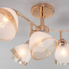 Потолочная люстра с плафонами 30126/6 золото фото 4 &mdash; Multielectrika