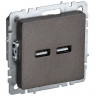 Розетка USB A+A 5В 3,1А IEK Brite РЮ10-1-БрТБ темная бронза