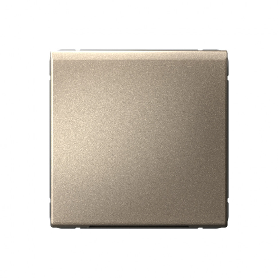 Вывод кабеля Systeme Electric ArtGallery шампань фото 1 — Multielectrika