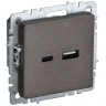 Розетка USB A+C 18Вт IEK Brite РЮ11-1-БрТБ темная бронза