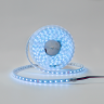 Лента светодиодная DSG 5050 RGB 60L-V24-IP65, RGB, 300 LED, 14.4W/m, LUX