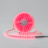 Лента светодиодная DSG 5050 RGB 60L-12V-IP65, RGB, 300 LED, 14.4W/m, LUX