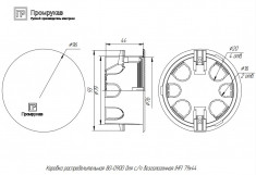 Коробка распределительная Промрукав 79x43 для полых стен &mdash; Multielectrika