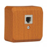 Розетка телефонная RJ 11 Бук Schneider Electric Этюд TELA-001T