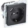Розетка с заземлением с защитными шторками 16А с USB A+C 18Вт IEK Brite РЮш11-1-БрЧ черная