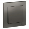 Выключатель одноклавишный Schneider Electric Atlas Design в сборе с рамкой, сталь