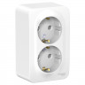 Розетка двойная Systeme Electric Blanca со шторками, с монтаж. пластиной, белая 16А